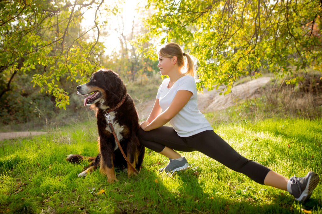 Persona realizando estiramiento de pierna junto a su perro bernés de montaña durante entrenamiento al aire libre, vistiendo ropa deportiva blanca y negra, con luz dorada del atardecer filtrándose entre hojas verdes
