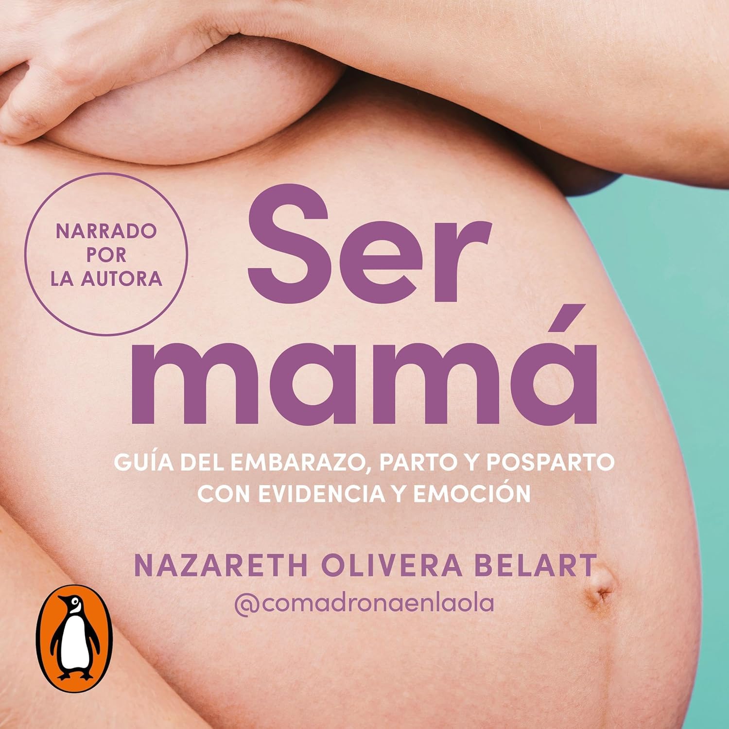 Guía completa sobre embarazo, parto y posparto con información basada en evidencia y consejos emocionales para mamás.