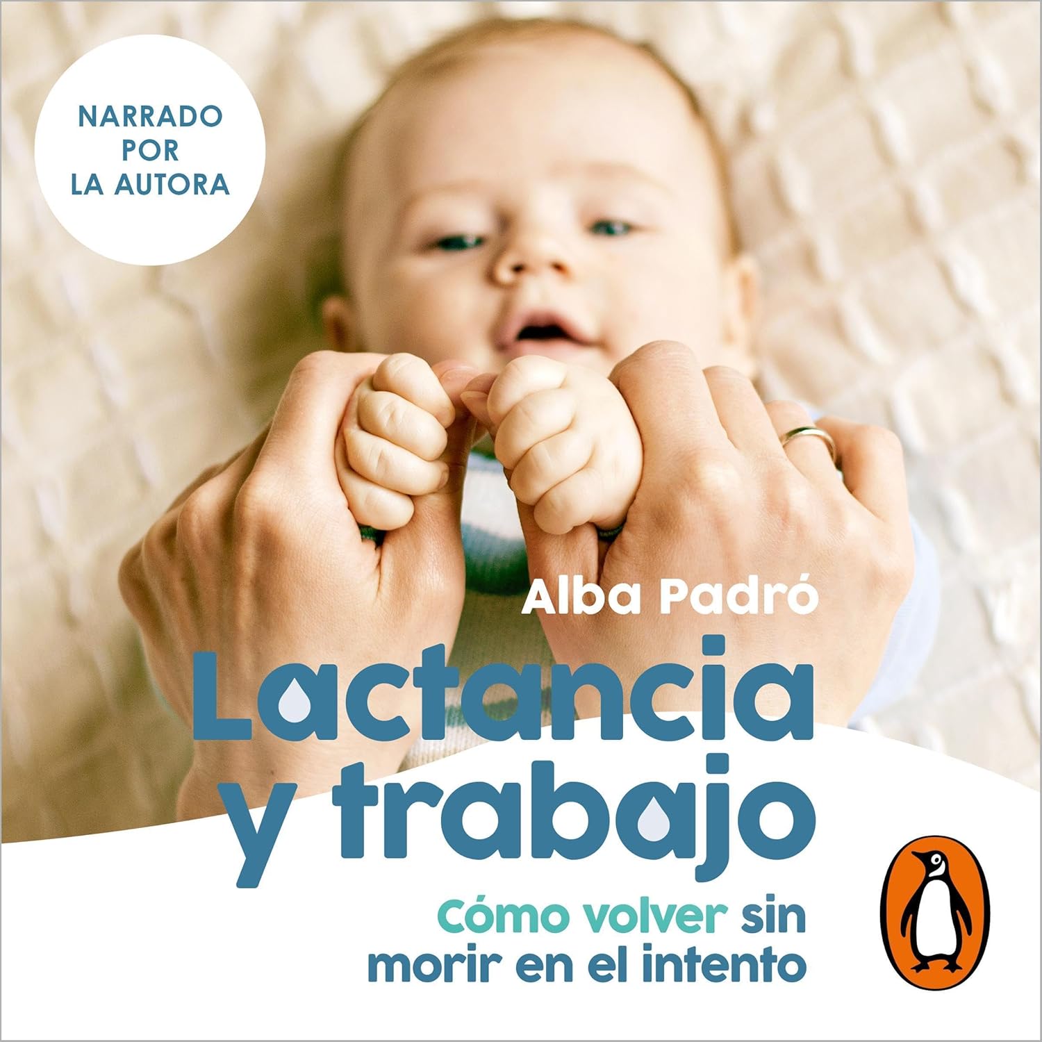 Consejos prácticos para combinar lactancia materna y trabajo, facilitando la vuelta laboral sin renunciar a amamantar.