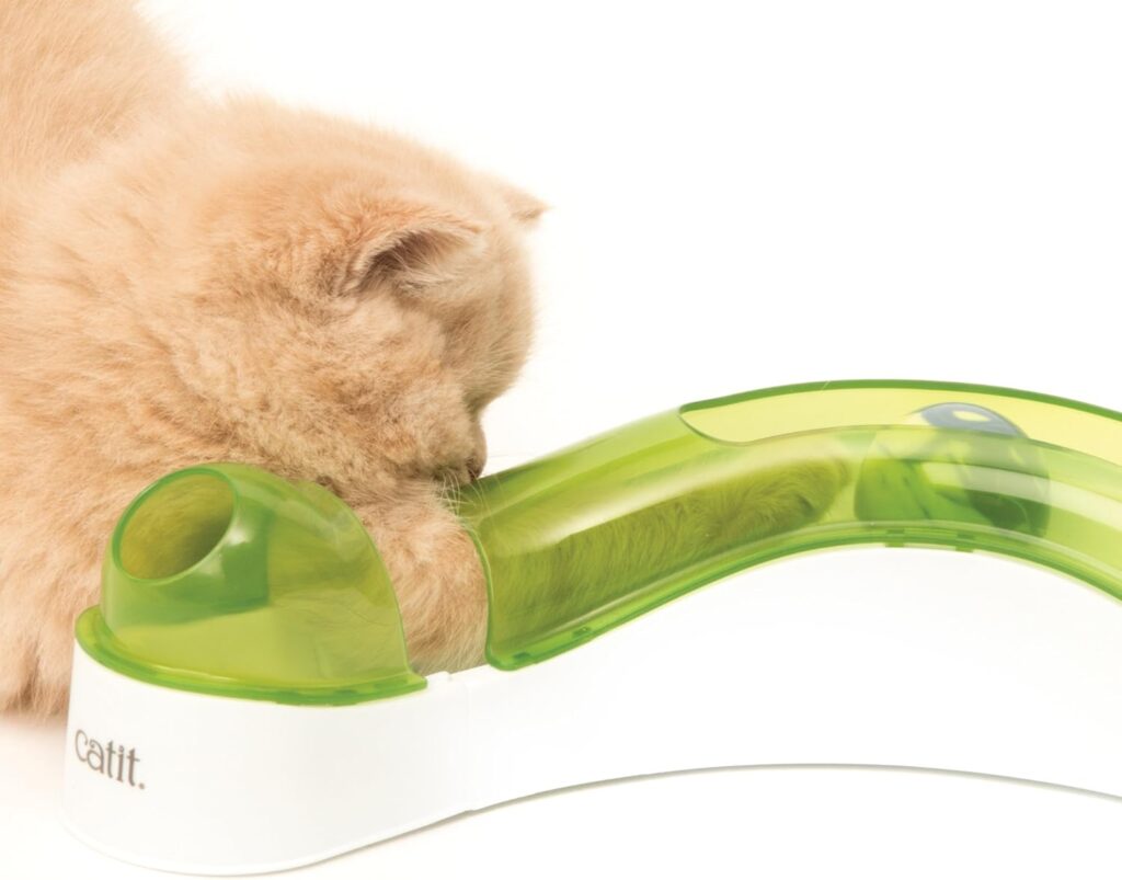 Bebedero Catit Senses 2.0 en color verde lima y blanco con gato persa crema bebiendo, diseño ergonómico con dispensador elevado y tubo transparente para estimulación felina